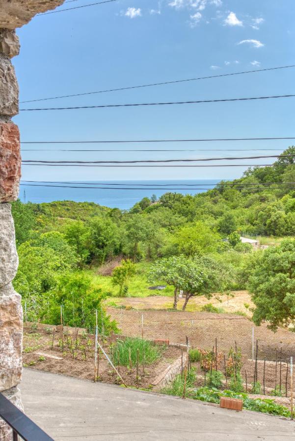 Vila Stari Mlin Ivanovici エクステリア 写真