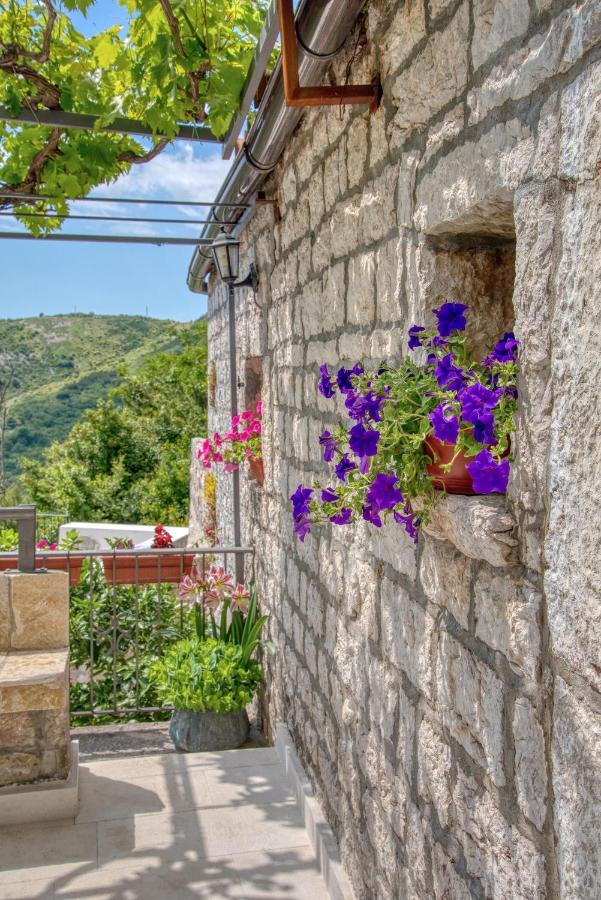 Vila Stari Mlin Ivanovici エクステリア 写真